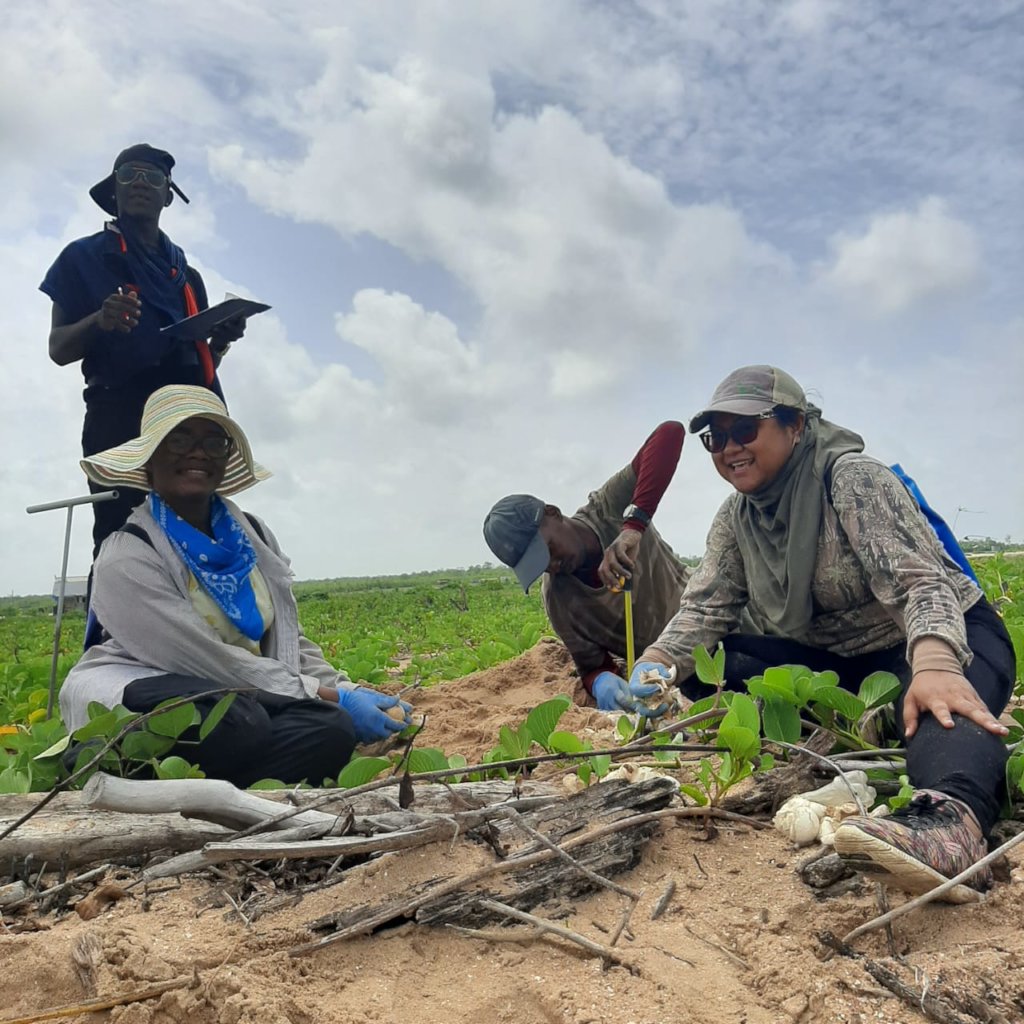 Turtle heroes: Protecting Sea Turtles in Suriname