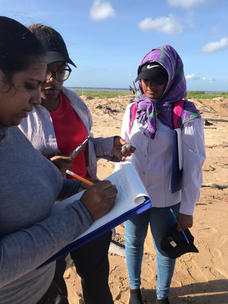 Turtle heroes: Protecting Sea Turtles in Suriname