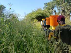 Walking thru the tall grasses to get to the water.