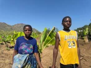 Banana plants that Justin grows in Butwa Village.
