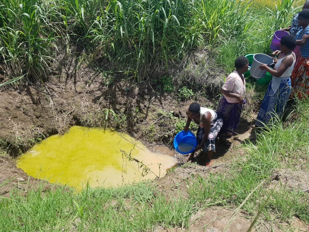 Who WANTS to drink green water?