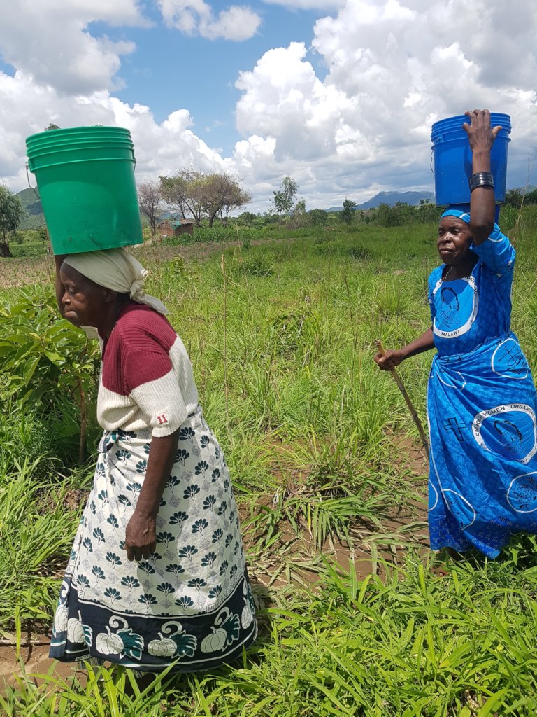 Eldery ladies continue to work hard