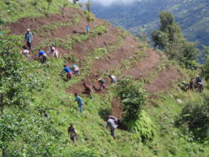 Preparing for the plantation