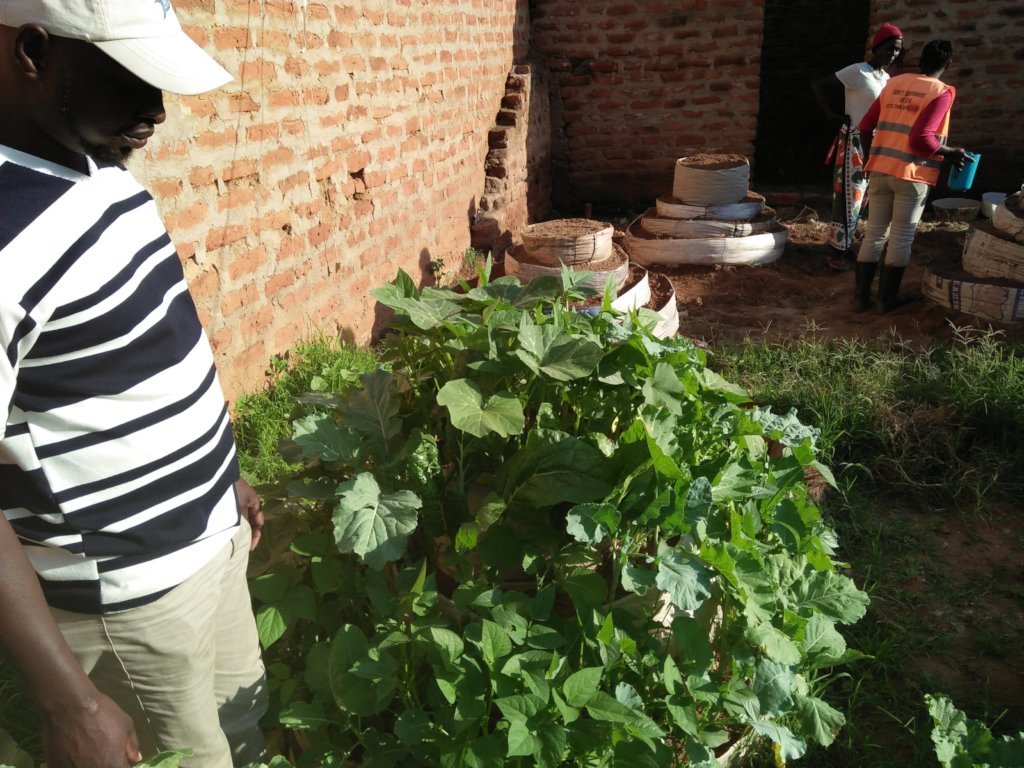 Youth and Women in vegetable production in Kitui