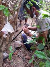 irrigation net during implementation phase