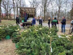 New trees were planted in our park.