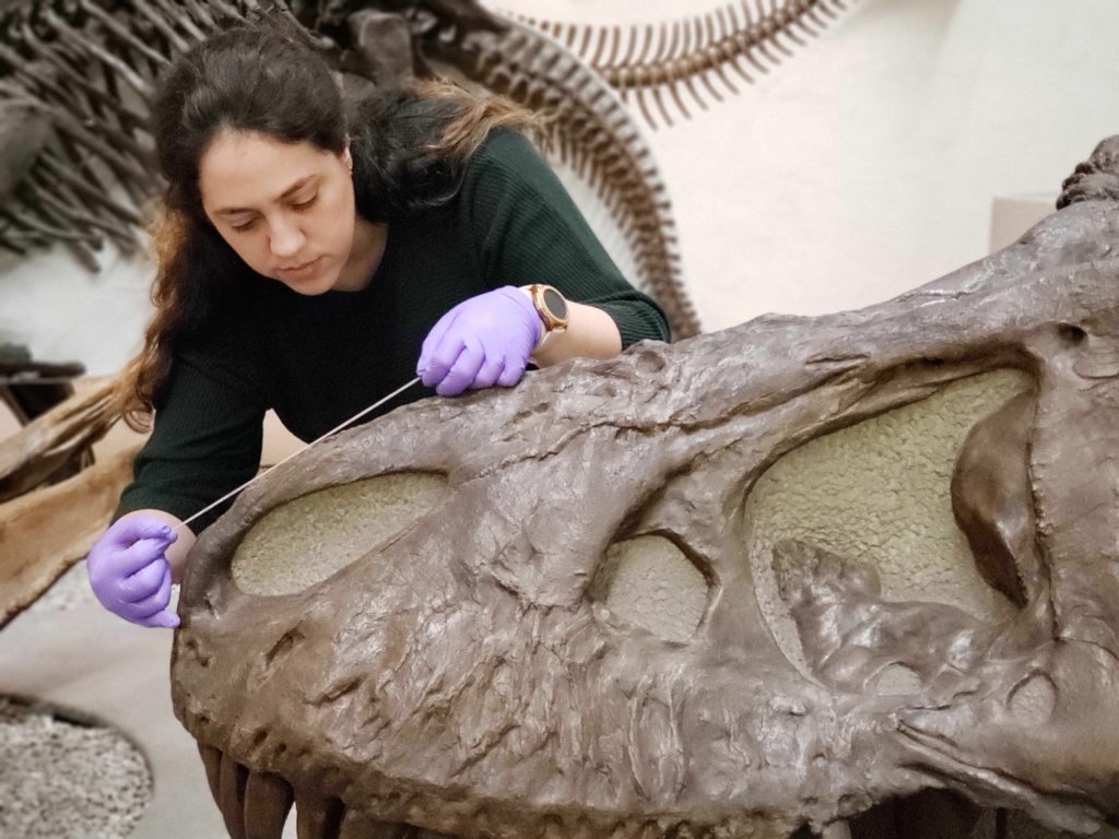 Making Culture Sustainable Globally