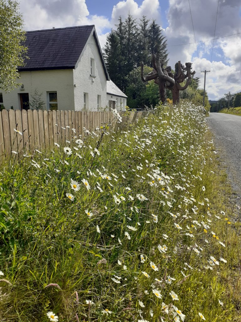 Reboot Education with Self Directed Learning