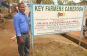 Support food aid to 3000 refugees in Cameroon