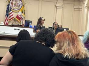 Supporting Specialty Programs at the Courts