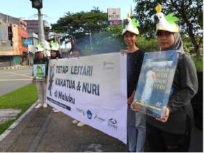 Parrot conservation campaign in Ambon, Maluku