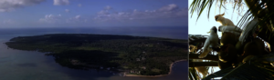 Masakambing Island and the Abbotti Cockatoos