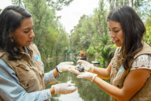 MOJA team handling an axolotl