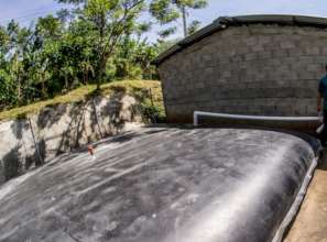 Geomembrane bag