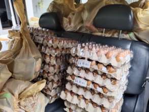 Food purchases for 95 families