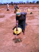 Women at work