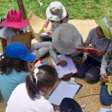 Learning about medicinal plants