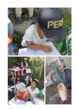 Why do ants always stay together?