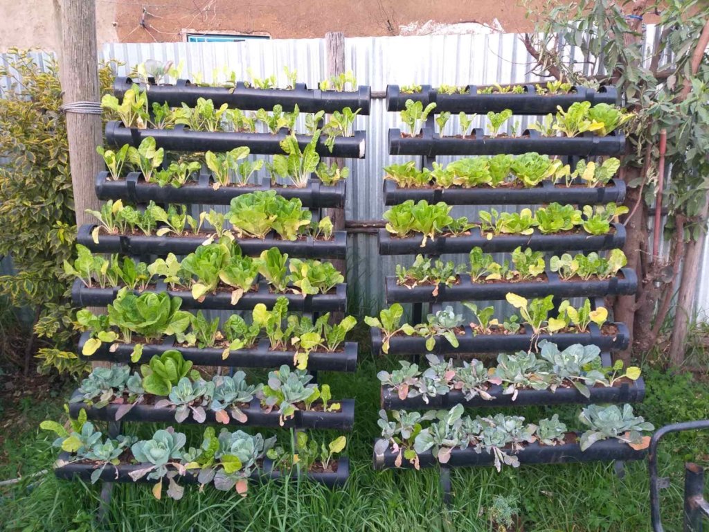 successful vertical farming