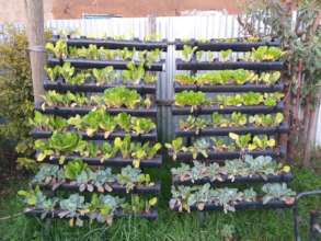 successful vertical farming