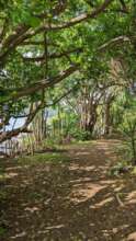 Pigeon Island National Landmark