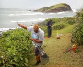 Vital site maintenance at the Maria Islands