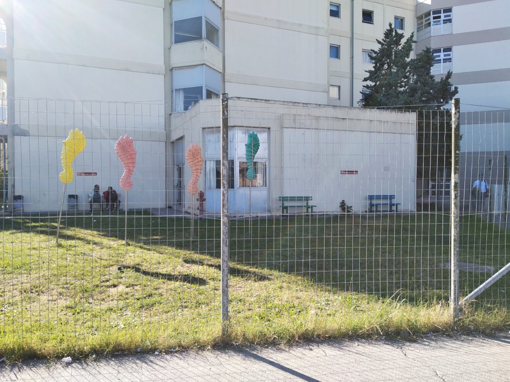 Complete Hospital Playground for Children