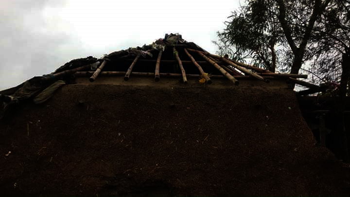 Cyclone Amphan relief for NLC, Sarberia, India
