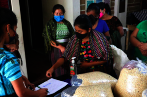 Handing out distributions at the Cojolya office