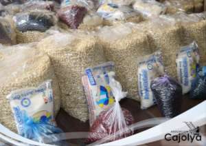 Food bag delivered to people