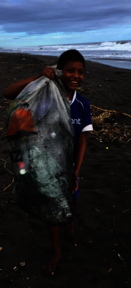 Sea Turtle Conservation in Times of Covid-19