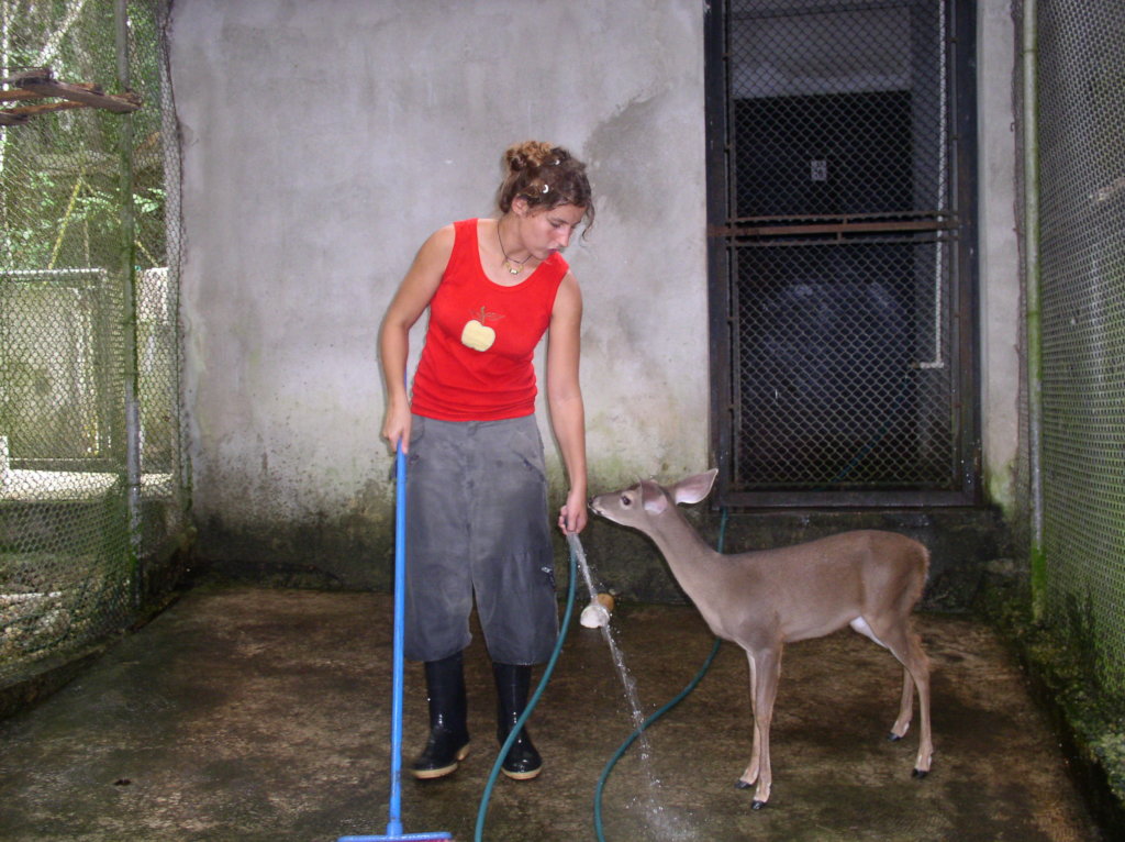 Rescuing Guatemalan Wildlife in times of COVID-19