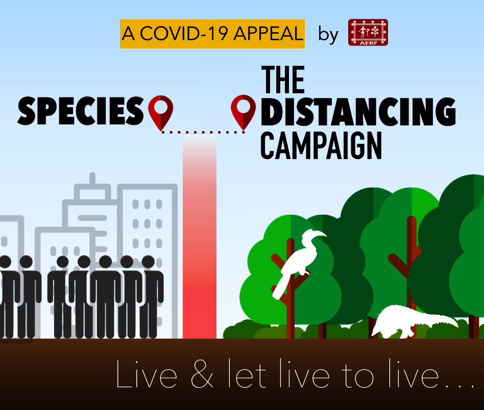 A COVID-19 appeal -The Species Distancing Campaign