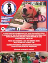Train and pair a service dog with a veteran