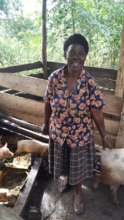 Grace with her pigs