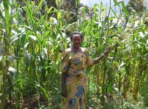 Jolly standing in her maize garden