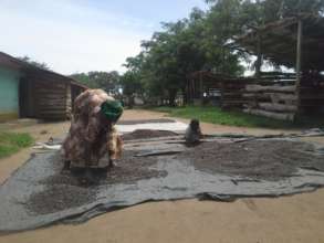 Pola and her grandson drying coffee