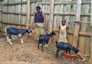 Evas with the goats she is rearing