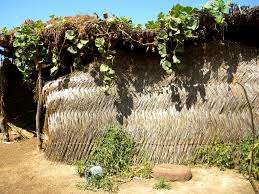 picture of shelter home