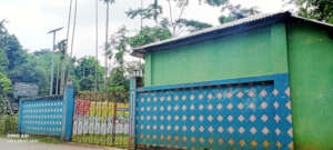 ddef shelter home