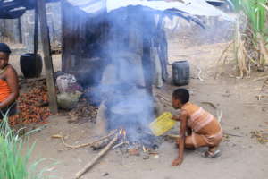 Scaling Up Distribution of High-impact Cookstoves