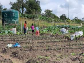 Children on Thanda Farms