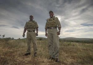 The Rhino Monitors!
