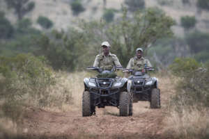 Out on patrol!