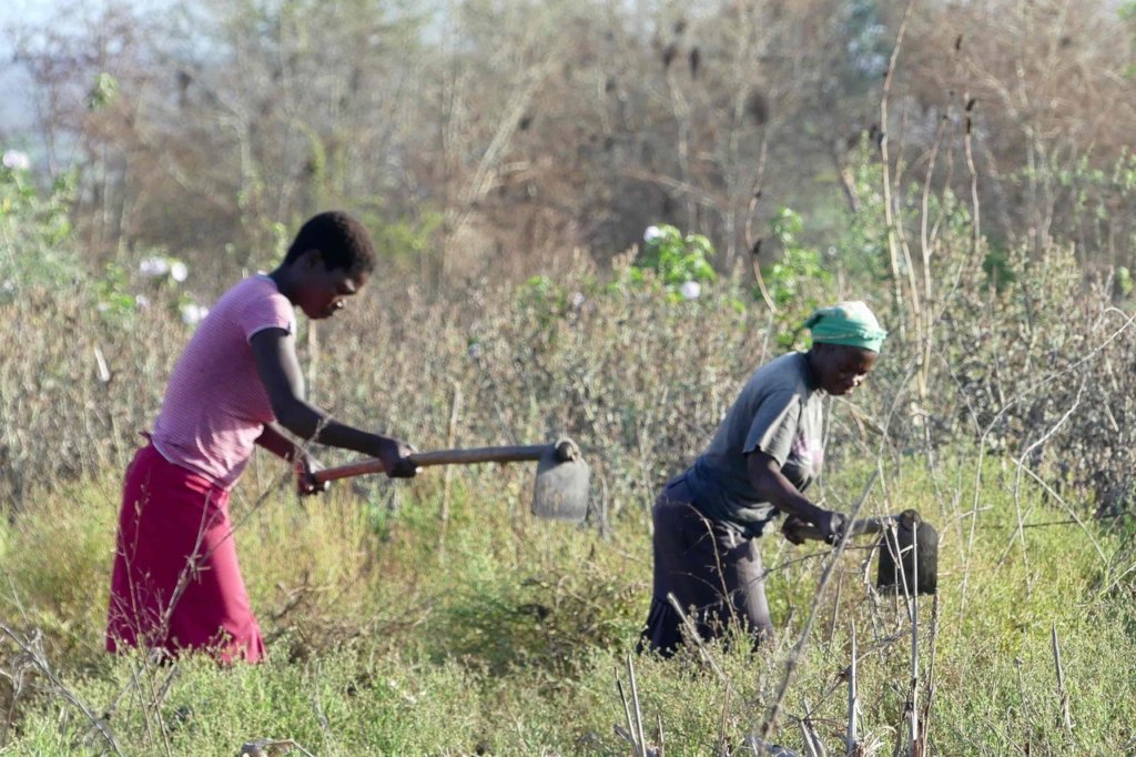 One Health for Shangaan and The Place of Elephants