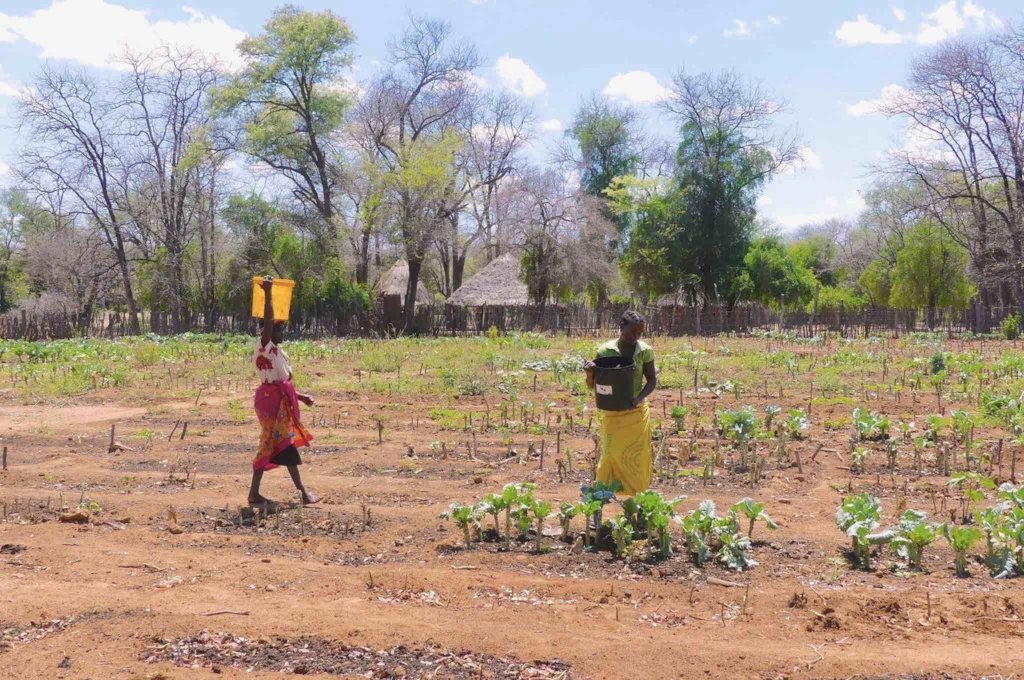 One Health for Shangaan and The Place of Elephants