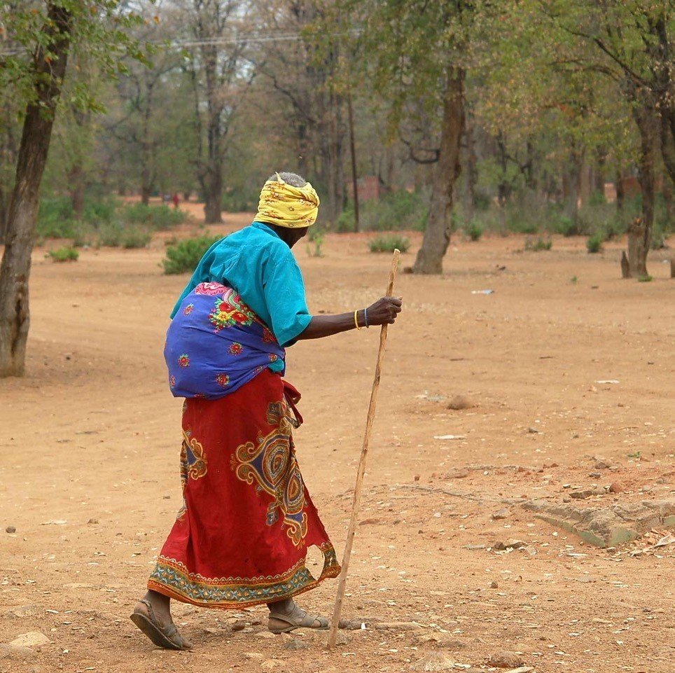 One Health for Shangaan and The Place of Elephants