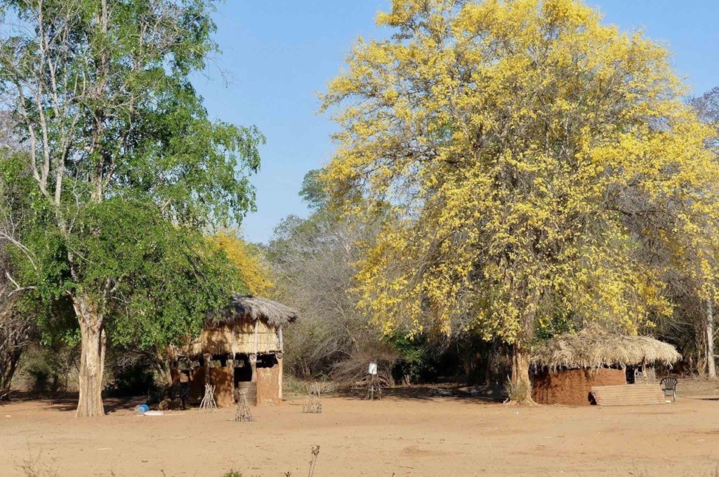 Mahenye Village