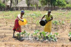 One Health for Shangaan and The Place of Elephants