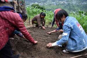 agriculture technicians are teaching women group
